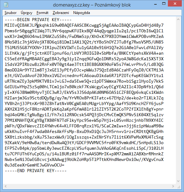 Archivo .key abierto en Notepad